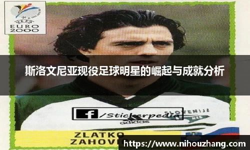 斯洛文尼亚现役足球明星的崛起与成就分析